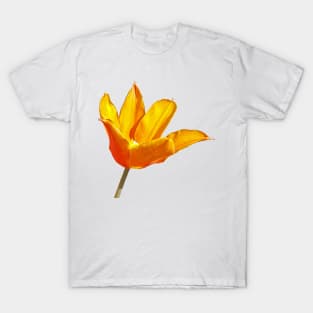 Mothers Day Orange Tulip Flower T-Shirt